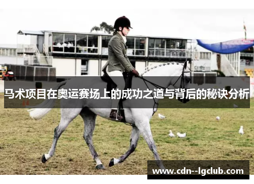 马术项目在奥运赛场上的成功之道与背后的秘诀分析