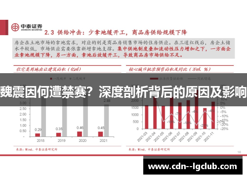 魏震因何遭禁赛？深度剖析背后的原因及影响